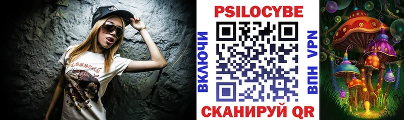Псилоцибиновые грибы ЛСД  даркнет сайт  Сенгилей 