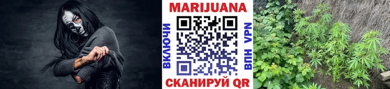 Канабис SATIVA & INDICA  Сенгилей 